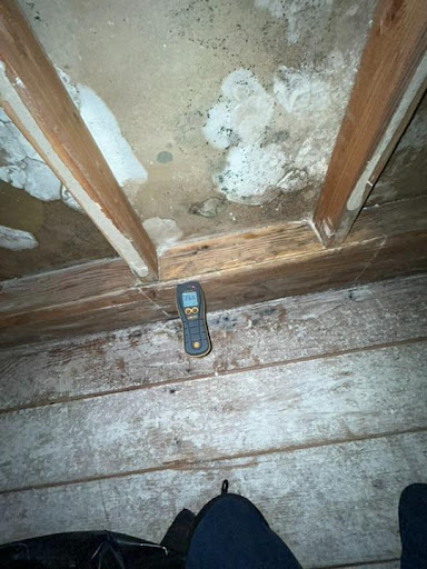 Moisture meter detecting hidden water damage and mold in wooden structure