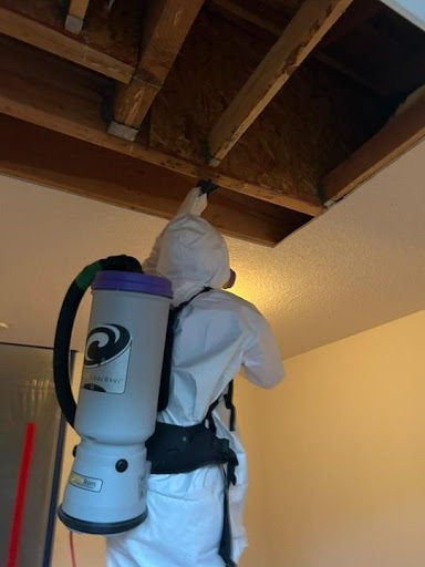 Restoration technician applying antimicrobial treatment to exposed ceiling structure
